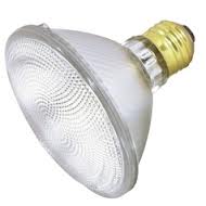 75 Watt Halogen Bulb