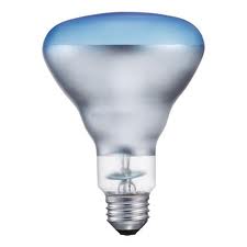 BR30 Halogen Light Bulbs