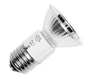 JDR Single Ended Halogen Light Bulb