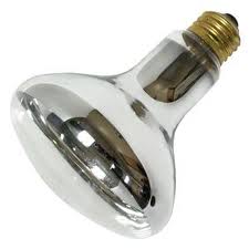 R30 Light Bulbs