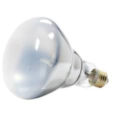 BR40 Halogen Light Bulbs