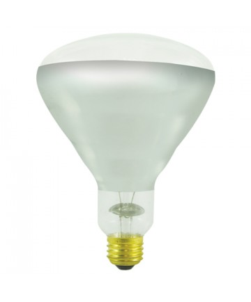 Bulbrite 714725 | 250 Watt Incandescent BR40 Heat Lamp w/Tough Coat