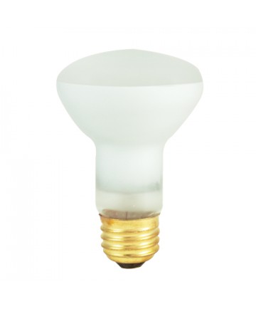 Bulbrite 292004 | 45 Watt Incandescent R20 Reflector, Medium Base