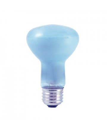 Bulbrite 711045 | 45 Watt Incandescent True Daylight R20 Reflector