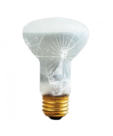 Bulbrite 280250 | 50 Watt Incandescent R20 Shatter Resistant