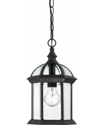 Nuvo Lighting 60/4979 Boxwood 1 Light 14" Outdoor Hanging with Clear