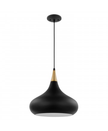 Nuvo Lighting 60/7514 Phoenix 1 Light Medium Pendant Matte Black with