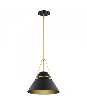 Nuvo Lighting 60/7766 Adina 1 Light Medium Pendant Matte Black and