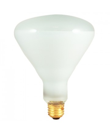 Bulbrite 258006 | 65 Watt Incandescent BR40 Reflector, Flood, Medium