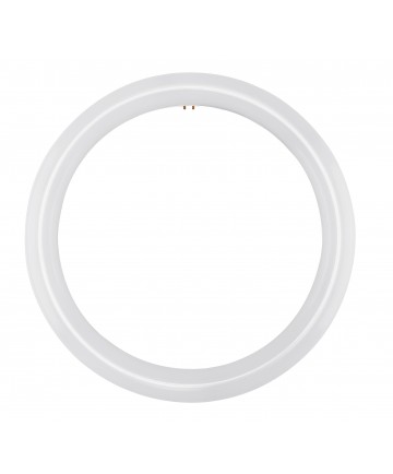 Satco S16504 FC12T9/LED/CIR/840/BP 16 Watts 120-277 Volts 145 4000K