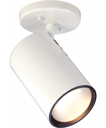 Nuvo Lighting SF76/418 1 Light R30 Straight Cylinder