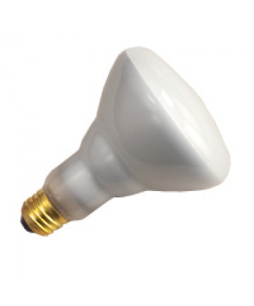 Halco 103110 BR30FL65/P10 65w BR30 FL 120v 10M Prism Light Bulb