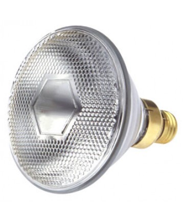 Satco S4573 Satco 65PAR/SP 65 Watt PAR-38 120 Volt E26 Medium Skirt Base Clear 1750 Hours Spot Reflector Light Bulb