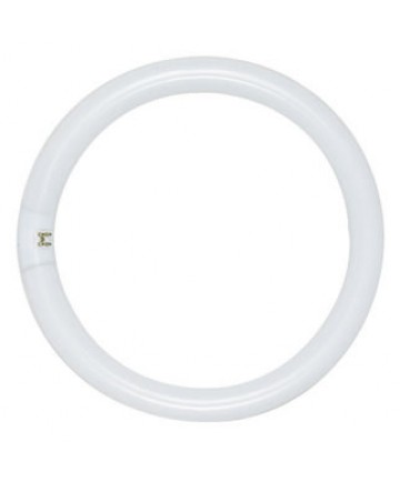 Satco S6500 Satco FC8T9/CW 22 Watt T9 8 inch 4 Pin Base Cool White Fluorescent Circline Lamp