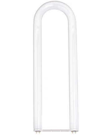 Satco S6593 Satco FB34/CW/6/SS/TF 34 Watt T12 22.5" Coated Shatter Proof Curvalume Flourescent Light Bulb