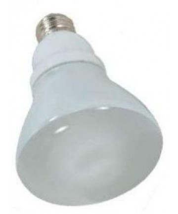 Satco S7249 15 Watt 120 Volt R30 E26 Medium Base 5000K Bulb (CFL)