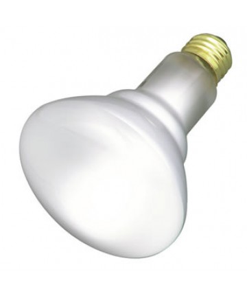 Satco S2808 65BR30/FL 65-Watt Frosted BR30 Medium Base Light Bulb