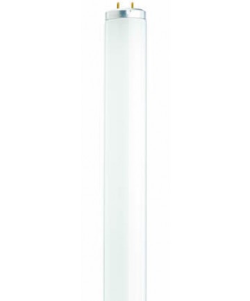 Satco S2927 Satco F40CWX 40 Watt T12 48 inch Medium Bi Pin Base Cool White Delux Fluorescent Tube/Linear Lamp