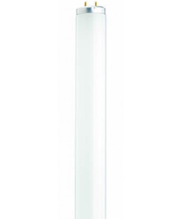 Satco S6562 Satco F15T12/CW 15 Watt T12 18 inch Medium Bi-Pin Base Cool White Preheat Fluorescent Tube/Linear Lamp