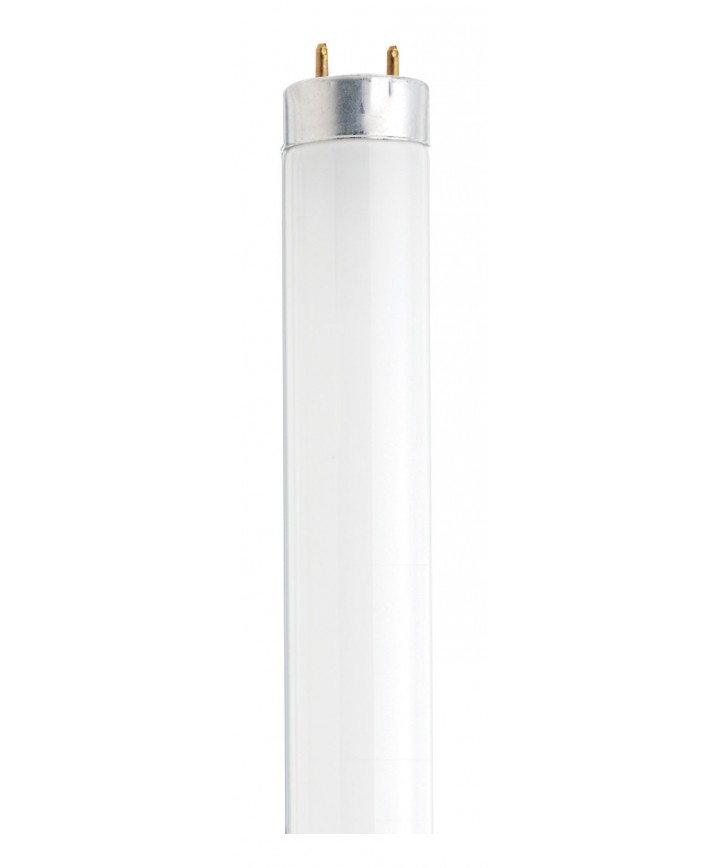 Satco Light Bulb in White S26513