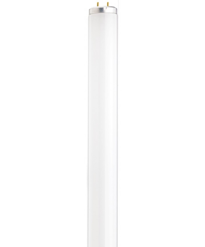 F40t12 bulb best sale