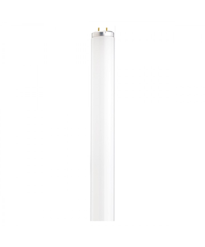 F40t12 fluorescent bulb cheap