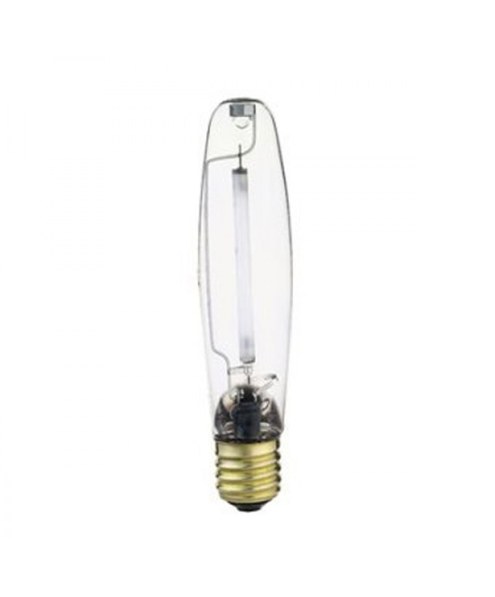 M59 bulb top