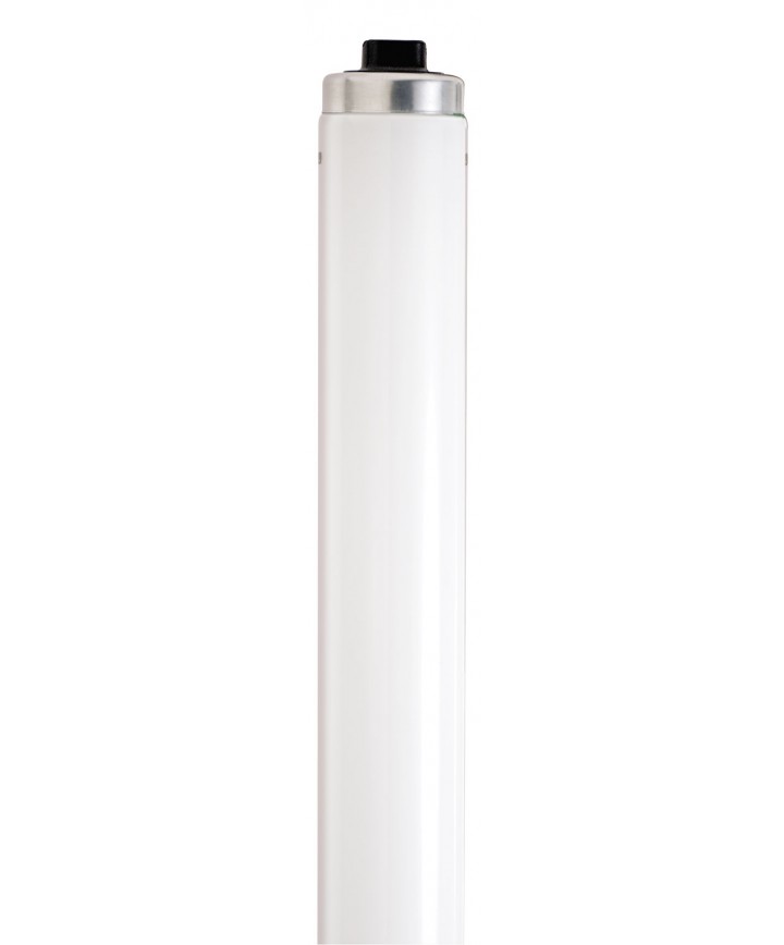 F30t12 bulb cheap