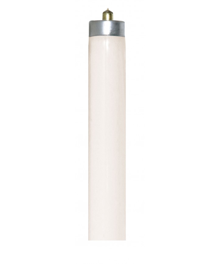 F72t8 hot sale