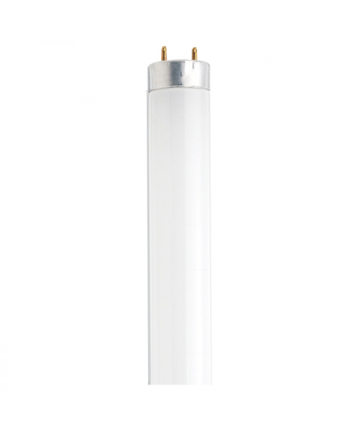 30 inch fluorescent bulb discount