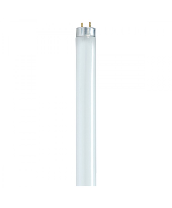 24 inch fluorescent light bulb 2025