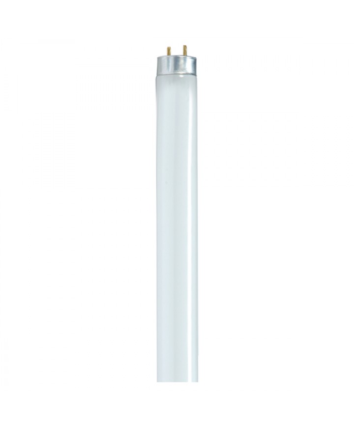 F25t8 on sale