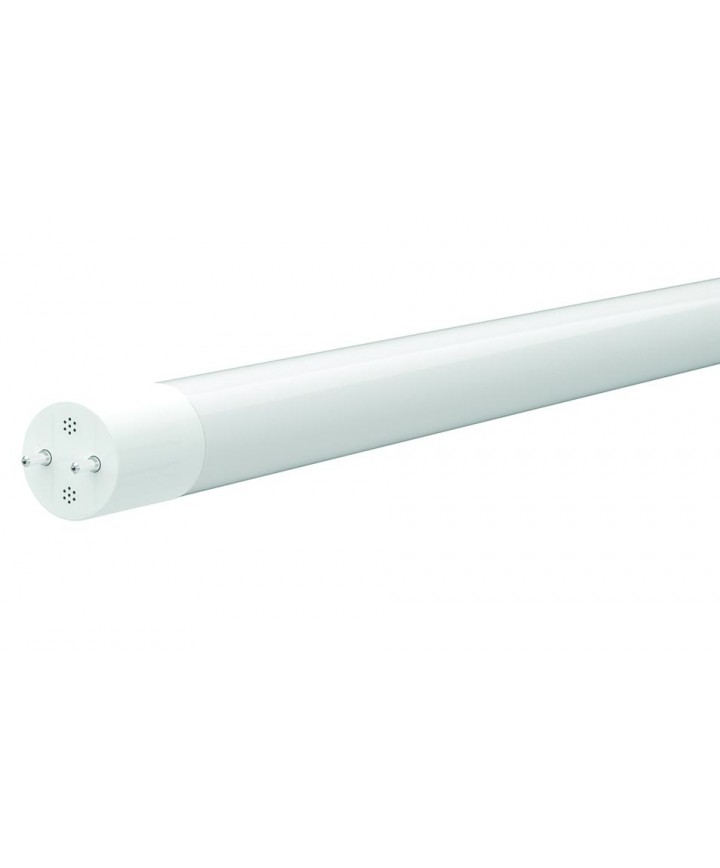Halco 82885 T8FR15 850 BYP3 LED LED T8 15W 5000K Ballast Bypass