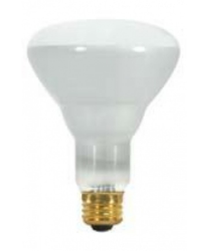 620 lumens satco 65w 120v