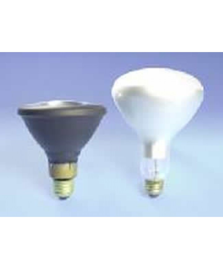 H38 bulb top