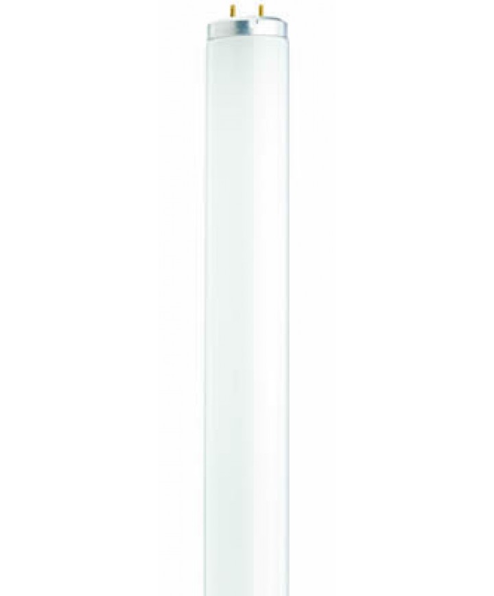 30 inch fluorescent bulb top