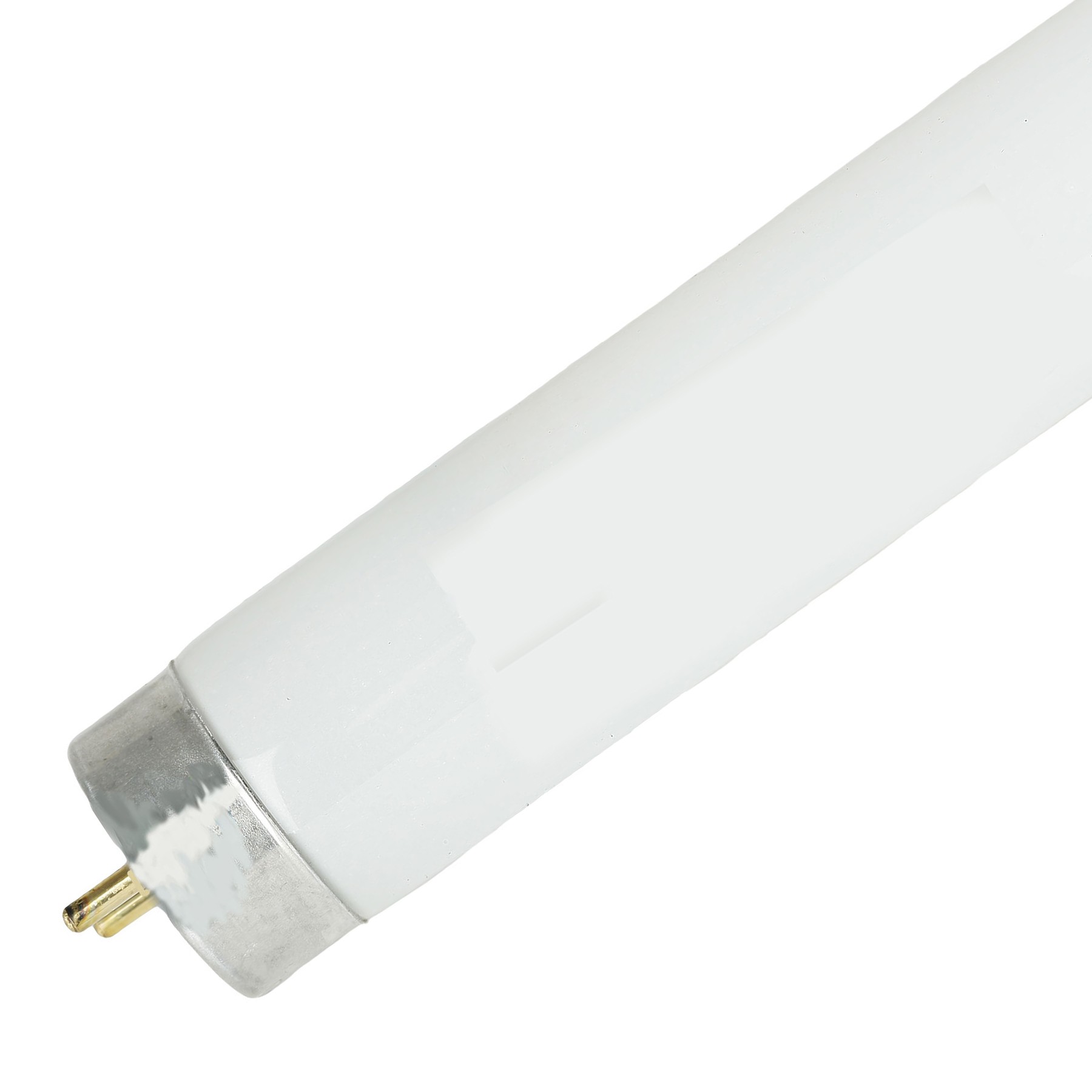 F15t8cw led store