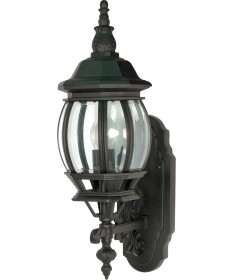 Nuvo Lighting 60/3469 Central Park 1 Light 20" Wall Lantern with Clear