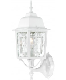 Nuvo Lighting 60/3487 Banyan 1 Light 17" Outdoor Wall with Clear Water
