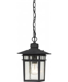 Nuvo Lighting 60/4956 Cove Neck 1 Light 12" Outdoor Hang with Clear