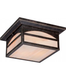 Nuvo Lighting 60/5656 Canyon 2 Light Outdoor Flush Fixture with Honey