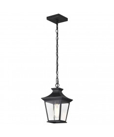 Nuvo Lighting 60/5746 Jasper Collection Outdoor 12 inch Hanging Light