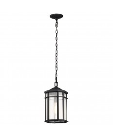 Nuvo Lighting 60/5759 Raiden Collection Outdoor 14.5 inch Hanging