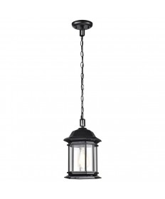 Nuvo Lighting 60/6117 Hopkins Collection Outdoor 12 inch Hanging