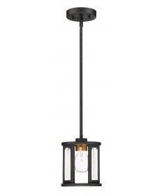 Nuvo Lighting 60/6412 Payne 1 Light Mini Pendant With Clear Beveled