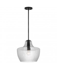 Nuvo Lighting 60/7705 Destin 1 Light Medium Pendant Medium Base Black