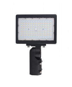 Nuvo Lighting 65/619 LED Flood Light 150 Watt 4000K Bronze Finish