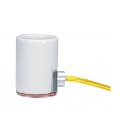 Satco 80/1329 POR SIDE OUTLET SKT 36" LEADS 660 Watts 250 Volts