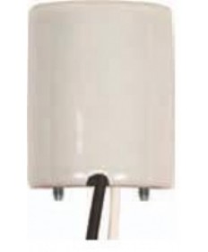 Satco 80/1689 | 4KV Medium Base Socket Glazed Porcelain with 18 Leads