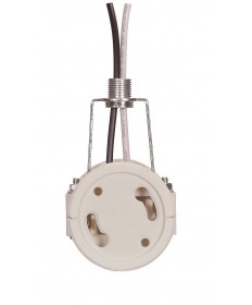 Satco 80/2490 2 LIGHT G24 SOCKET W/HICKEY 660 Watts 250 Volts Sockets